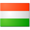 Vasvári, Z./Gubik flag